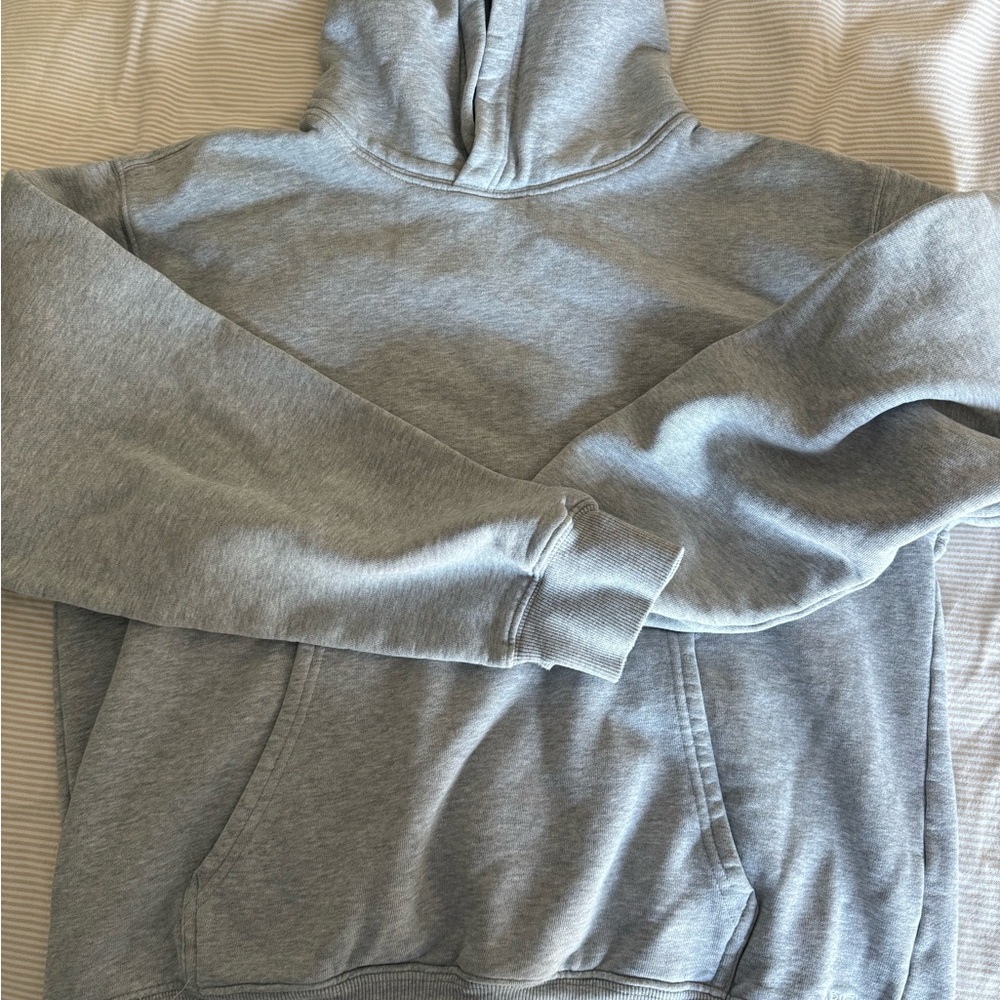 Aritzia Light Gray Hoodie